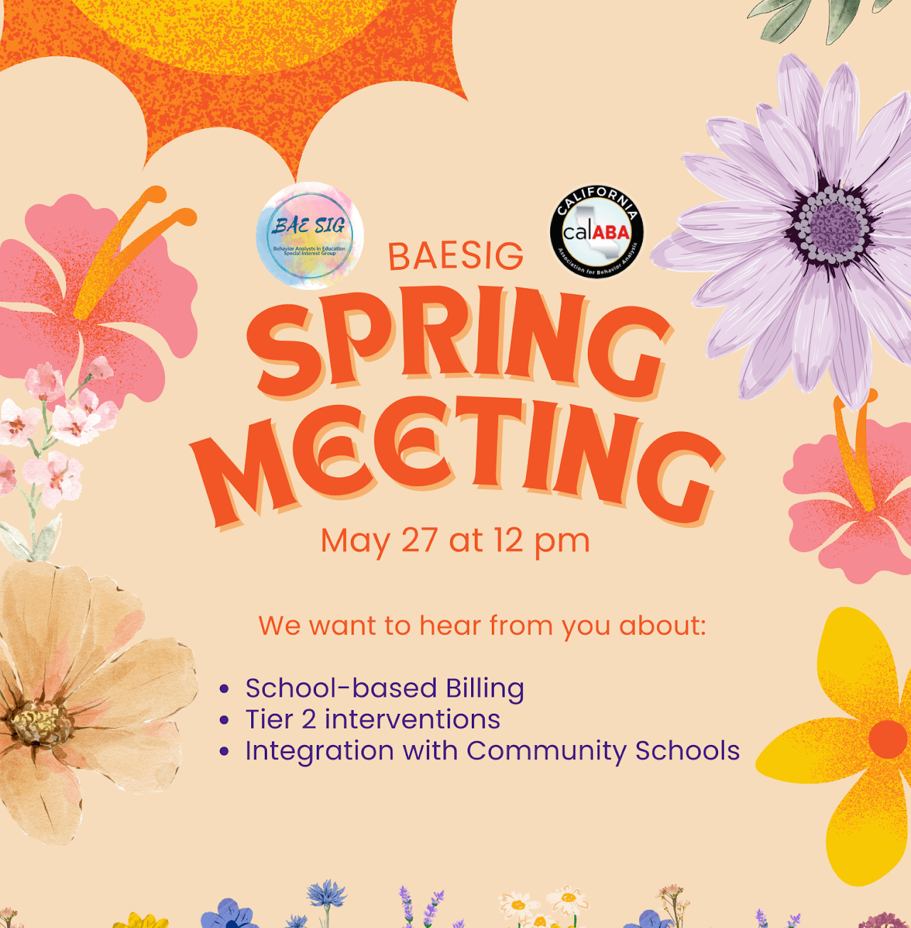 BAESIG Spring Meeting flyer for May 27 at 12 PM with topics including school-based billing, Tier 2 interventions, and community schools.