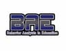 BAE SIG logo